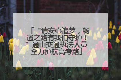“请安心追梦，畅通之路有我们守护！”通山交通执法人员全力护航高考路