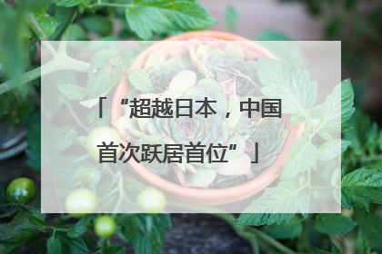 “超越日本，中国首次跃居首位”