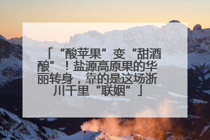 “酸苹果”变“甜酒酿”！盐源高原果的华丽转身，靠的是这场浙川千里“联姻”