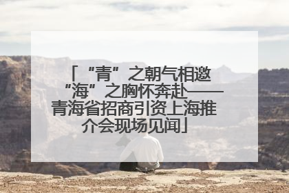 “青”之朝气相邀 “海”之胸怀奔赴——青海省招商引资上海推介会现场见闻