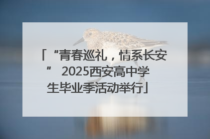 “青春巡礼，情系长安” 2025西安高中学生毕业季活动举行