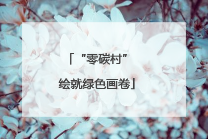“零碳村” 绘就绿色画卷