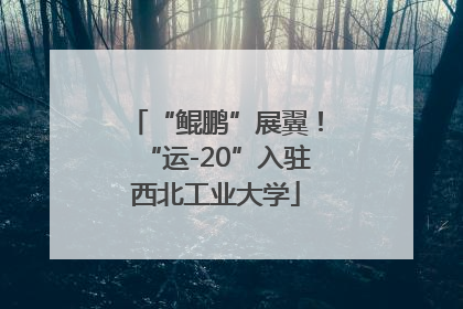“鲲鹏”展翼！“运-20”入驻西北工业大学