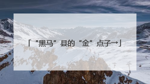 “黑马”县的“金”点子→