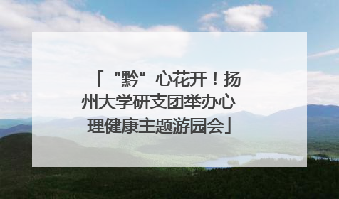 “黔”心花开！扬州大学研支团举办心理健康主题游园会