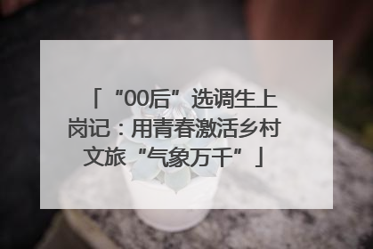 “00后”选调生上岗记：用青春激活乡村文旅“气象万千”