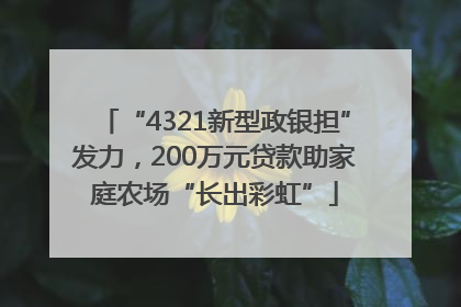 “4321新型政银担”发力，200万元贷款助家庭农场“长出彩虹”