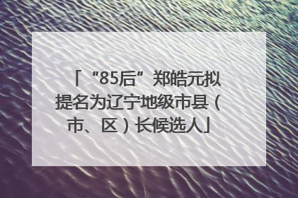 “85后”郑皓元拟提名为辽宁地级市县（市、区）长候选人