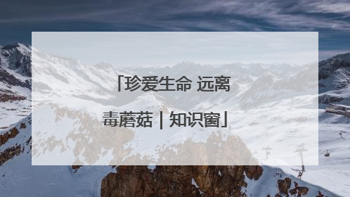 珍爱生命 远离毒蘑菇｜知识窗