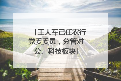王大军已任农行党委委员，分管对公、科技板块