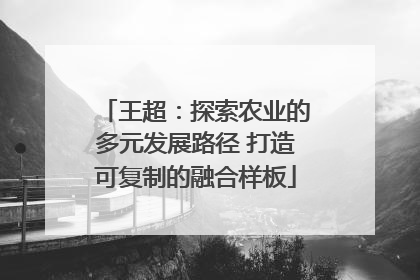 王超：探索农业的多元发展路径 打造可复制的融合样板