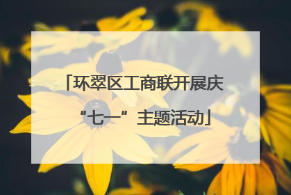 环翠区工商联开展庆“七一”主题活动