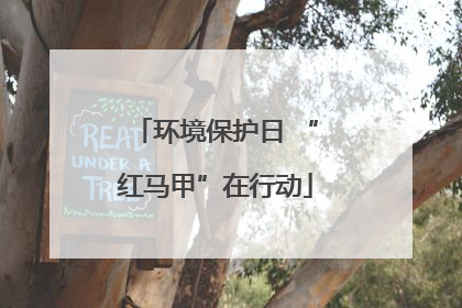 环境保护日 “红马甲”在行动