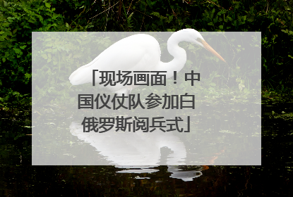 现场画面！中国仪仗队参加白俄罗斯阅兵式