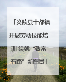 炎陵县十都镇开展劳动技能培训 绘就“致富有路”新图景
