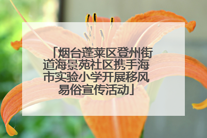 烟台蓬莱区登州街道海景苑社区携手海市实验小学开展移风易俗宣传活动