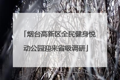 烟台高新区全民健身悦动公园迎来省级调研