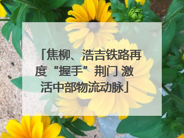 焦柳、浩吉铁路再度“握手”荆门 激活中部物流动脉