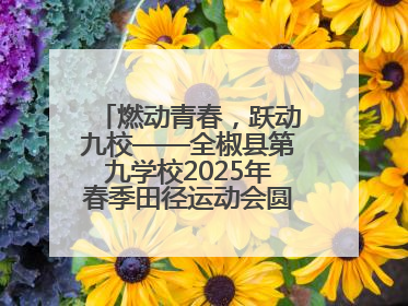 燃动青春，跃动九校——全椒县第九学校2025年春季田径运动会圆满收官