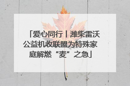 爱心同行丨潍柴雷沃公益机收联盟为特殊家庭解燃“麦”之急