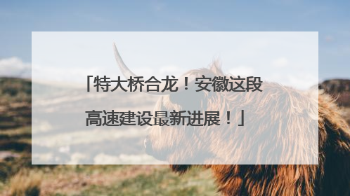 特大桥合龙！安徽这段高速建设最新进展！