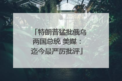 特朗普猛批俄乌两国总统 美媒：迄今最严厉批评