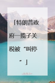 特朗普政府一揽子关税被“叫停”