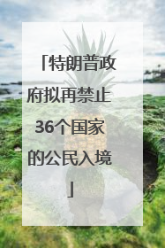 特朗普政府拟再禁止36个国家的公民入境