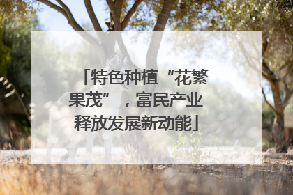 特色种植“花繁果茂”，富民产业释放发展新动能