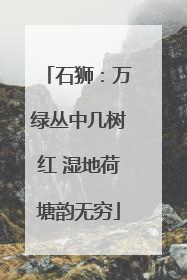 石狮：万绿丛中几树红 湿地荷塘韵无穷