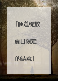 睡莲绽放 夏日限定的诗意
