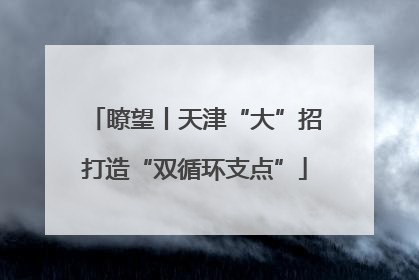 瞭望丨天津“大”招打造“双循环支点”