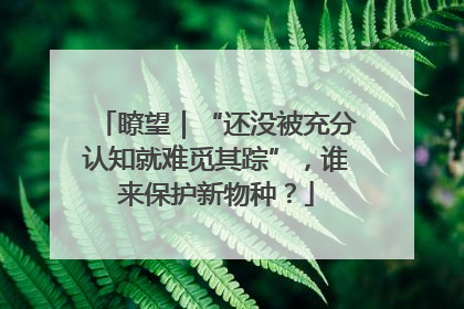 瞭望｜“还没被充分认知就难觅其踪”，谁来保护新物种？