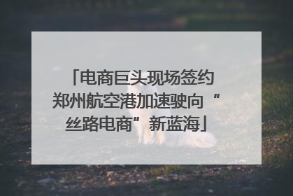 电商巨头现场签约 郑州航空港加速驶向“丝路电商”新蓝海