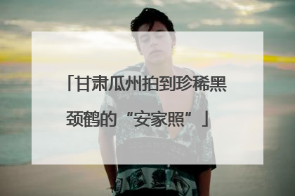 甘肃瓜州拍到珍稀黑颈鹤的“安家照”
