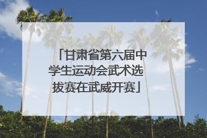 甘肃省第六届中学生运动会武术选拔赛在武威开赛