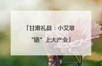 甘肃礼县：小艾草“链”上大产业