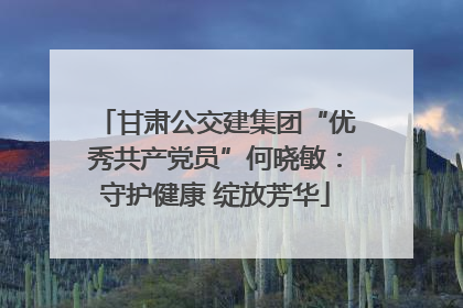 甘肃公交建集团“优秀共产党员”何晓敏：守护健康 绽放芳华