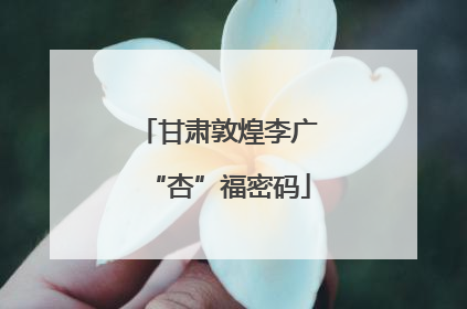 甘肃敦煌李广“杏”福密码