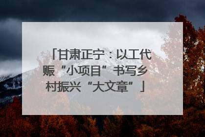 甘肃正宁：以工代赈“小项目”书写乡村振兴“大文章”