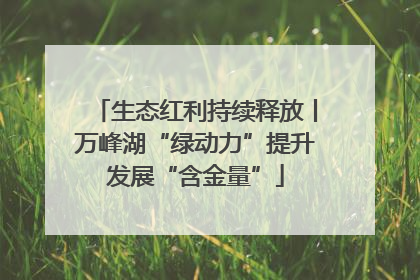 生态红利持续释放丨万峰湖“绿动力”提升发展“含金量”