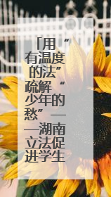 用“有温度的法”疏解“少年的愁”——湖南立法促进学生心理健康