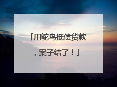用鸵鸟抵偿货款，案子结了！