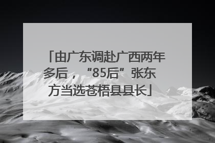 由广东调赴广西两年多后，“85后”张东方当选苍梧县县长