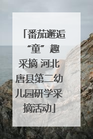 番茄邂逅 “童”趣采摘 河北唐县第二幼儿园研学采摘活动