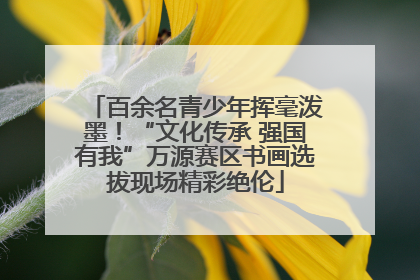 百余名青少年挥毫泼墨！“文化传承 强国有我”万源赛区书画选拔现场精彩绝伦