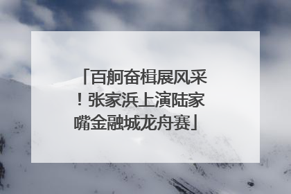 百舸奋楫展风采！张家浜上演陆家嘴金融城龙舟赛