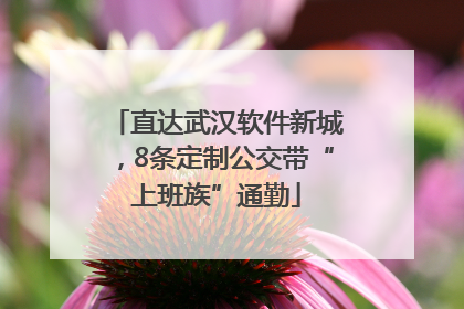 直达武汉软件新城，8条定制公交带“上班族”通勤