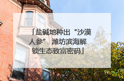 盐碱地种出“沙漠人参” 潍坊滨海解锁生态致富密码