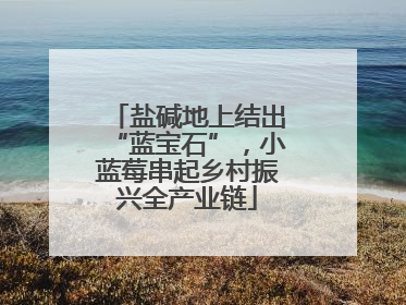 盐碱地上结出“蓝宝石”，小蓝莓串起乡村振兴全产业链